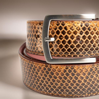Silver Prong Buckle